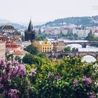 Prager Altstadt / Blick vom Letna-Park