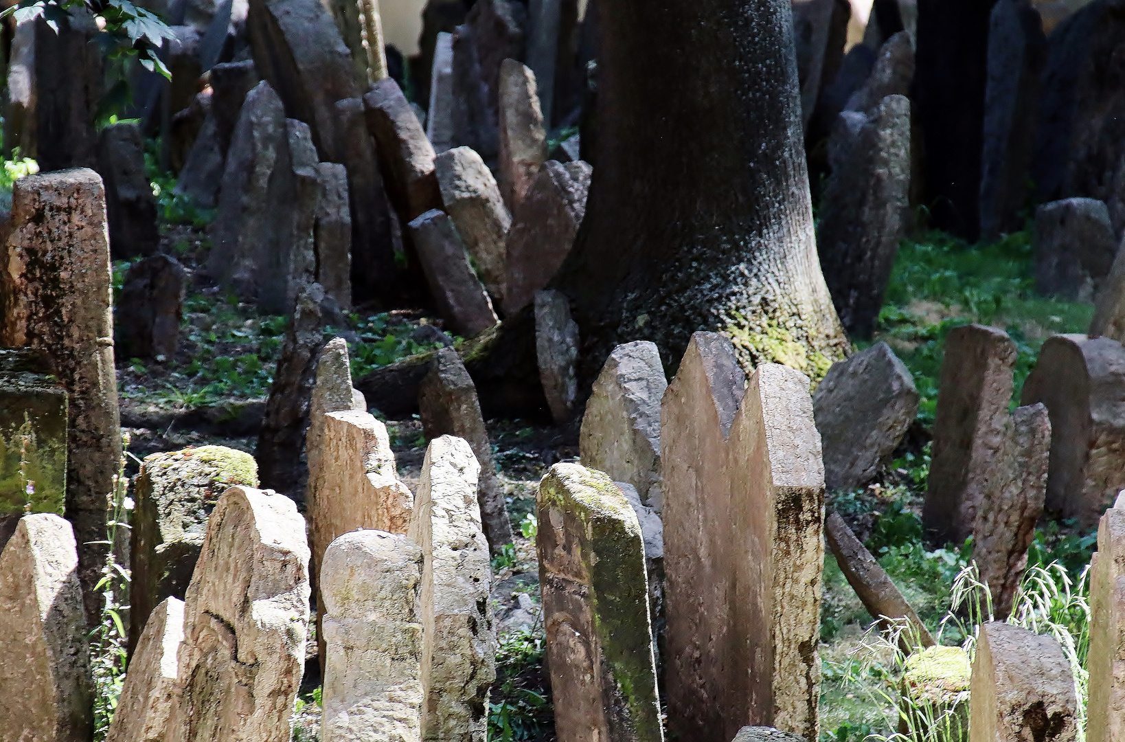 Prager Friedhof