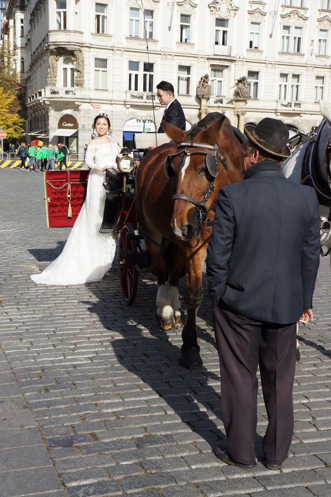 Prager Hochzeit