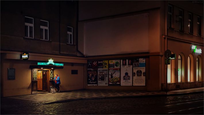 Prager Nachtschwärmer