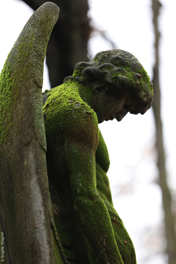 Pragfriedhof Stuttgart