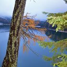 Pragser Wildsee im November