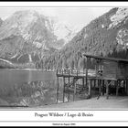 Pragser Wildsee / Lago di Braies