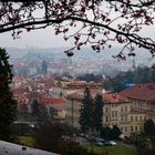 Prague from above.