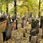 Prague le vieux cimetière juif 2