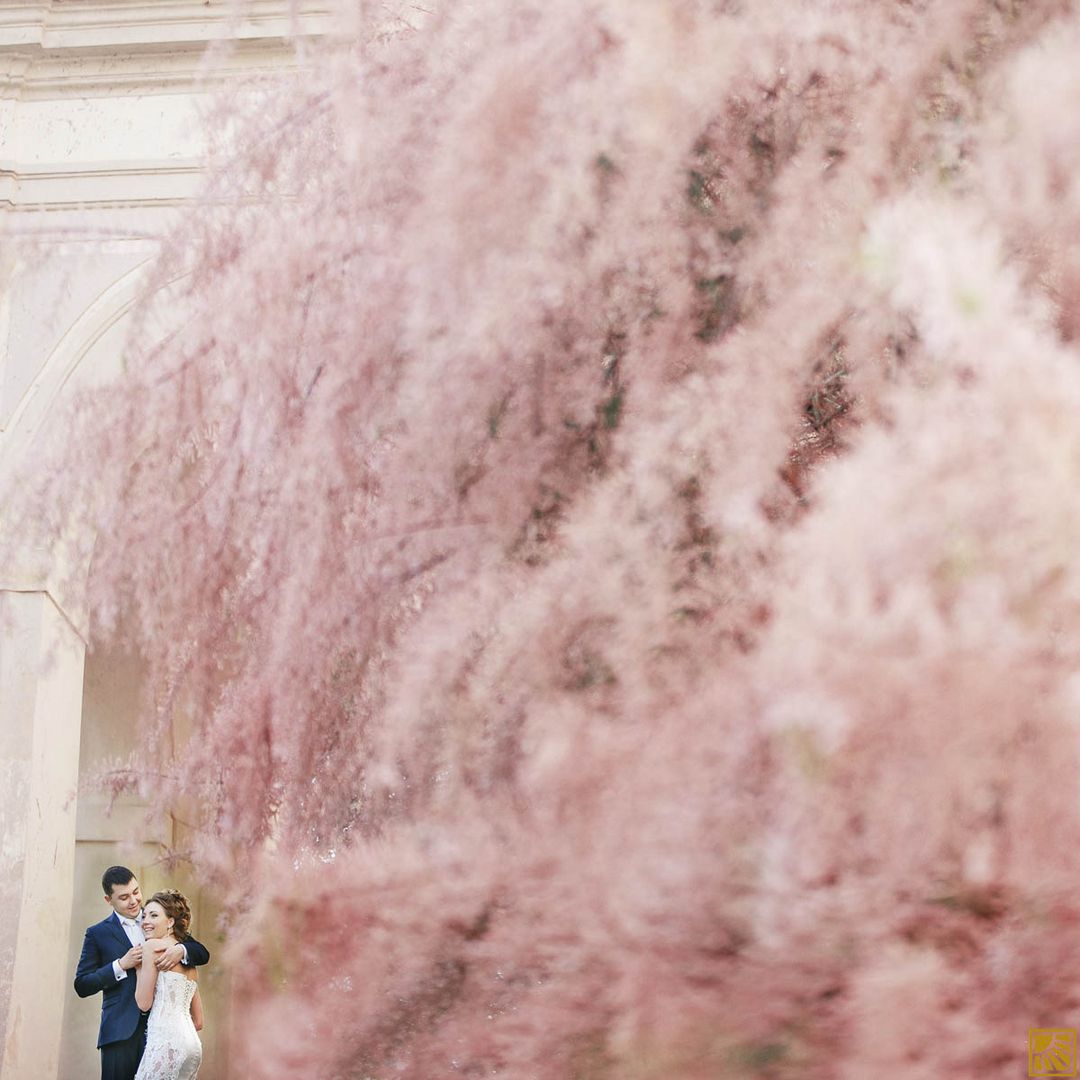 PRAGUE WEDDING