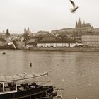 Praha