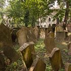 Praha - Josefov - Pinkasova synagoga - Cemetery - 01