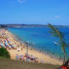 Praia da Boa Viagem- Salvador. Bahia . Brasil