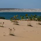 Praia da Chave Boa Vista