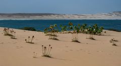 Praia da Chave Boa Vista