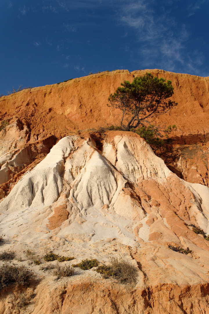 Praia da Falesia ( Algarve )