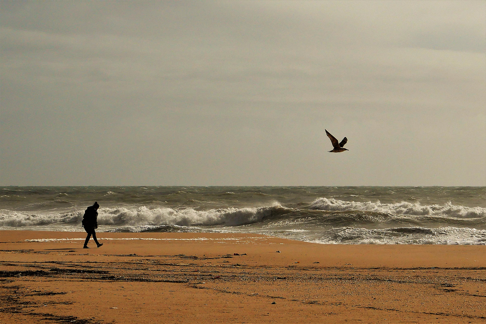 Praia da Falésia