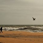 Praia da Falésia