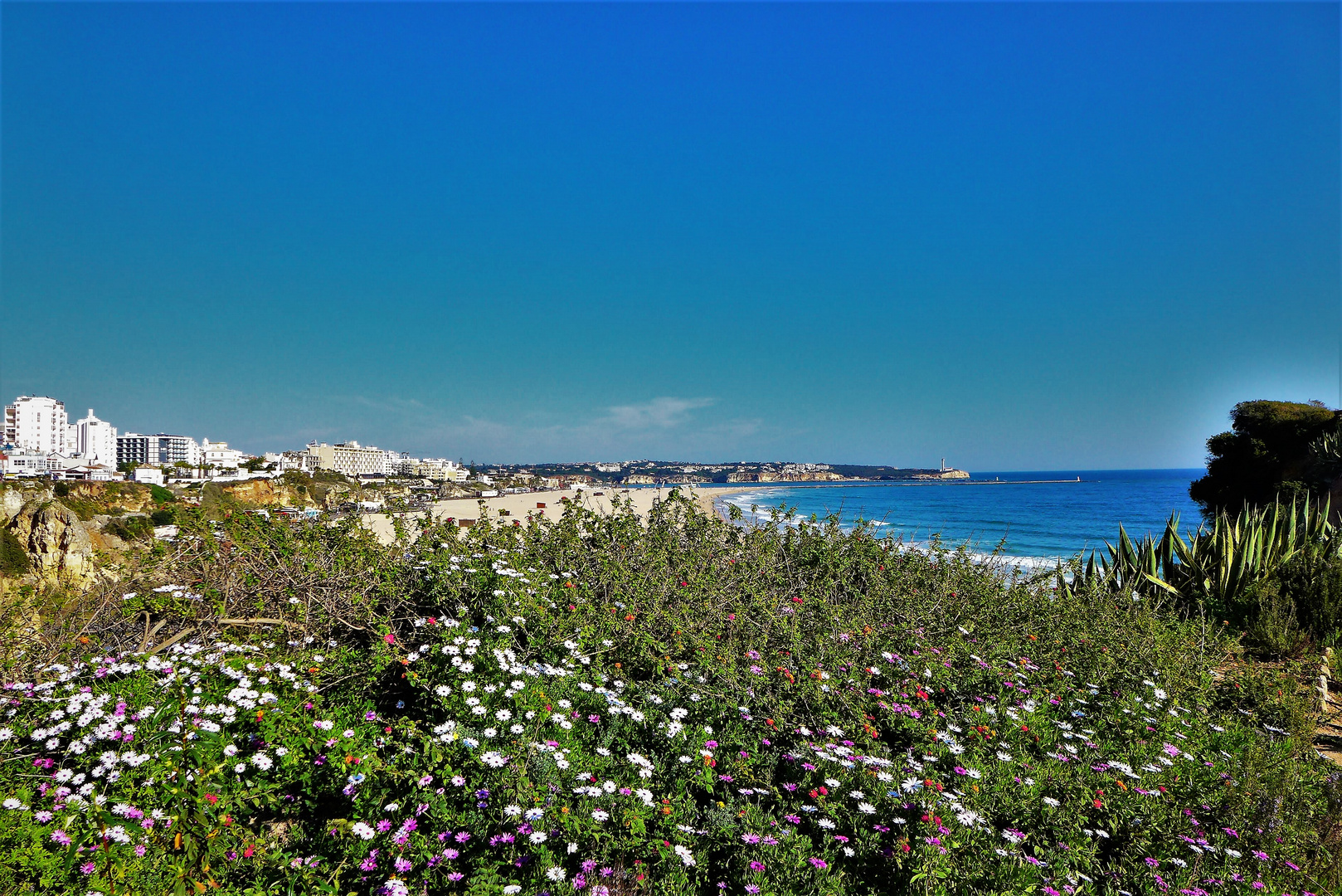 Praia da Rocha 1