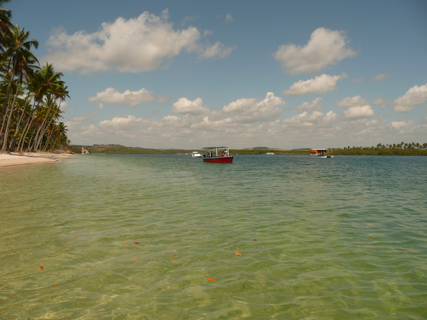 Praia de Carneiros Alagoas