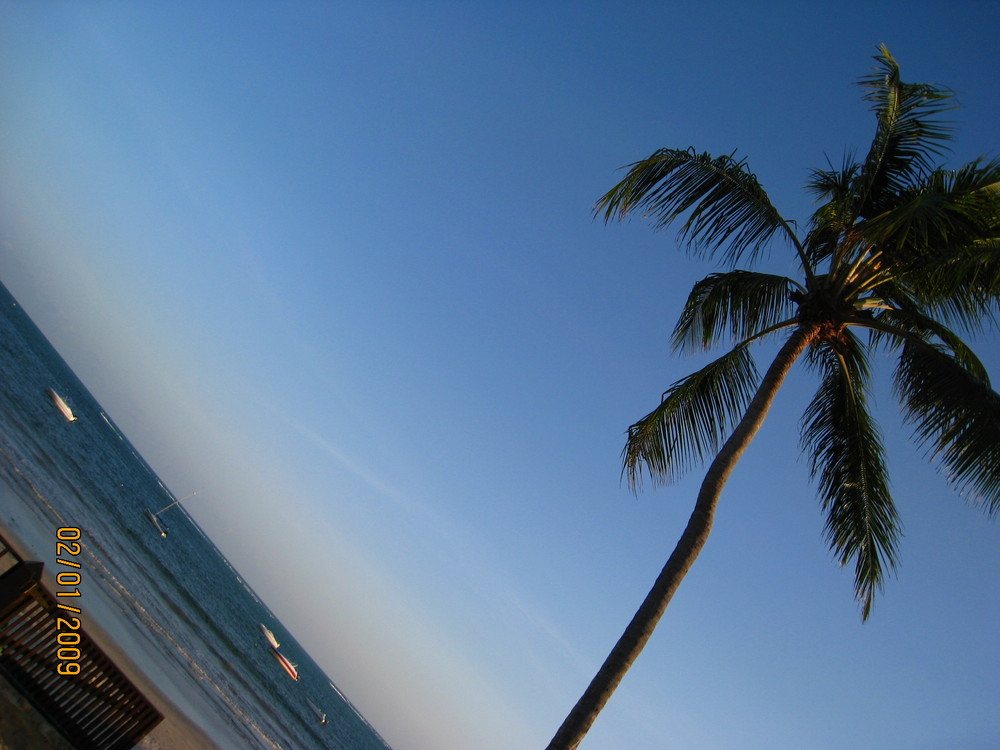 PRAIA DE ENSEADINHA PERNAMBUCO BRASIL