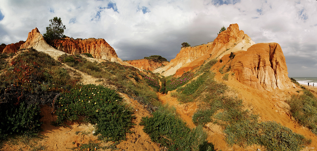 Praia de Falésia #2