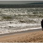 Praia de Falesia, Portugal / Street 276