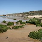 Praia de Monte Clérigo bei Ebbe.