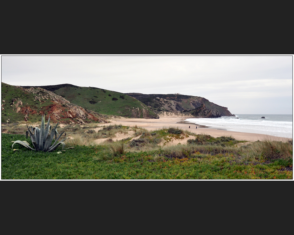 Praia do Amado