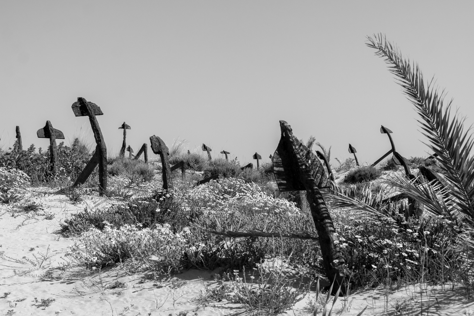 Praia do Barril (2)