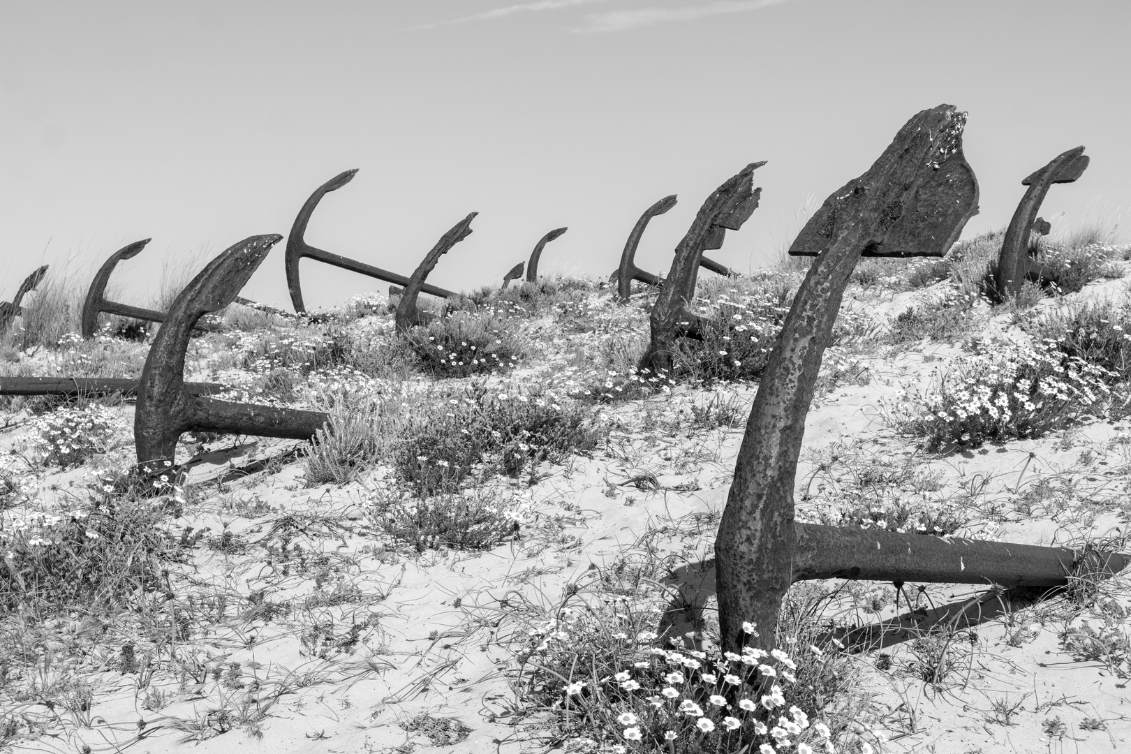 Praia do Barril (4)