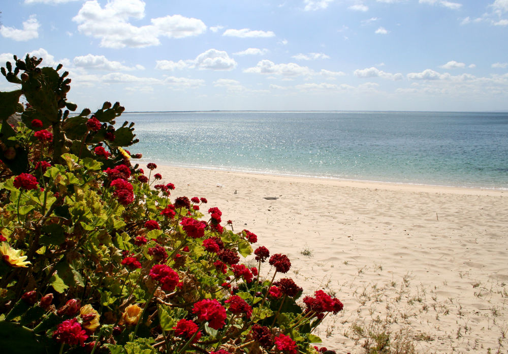 Praia dos Coelhos