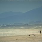 Praia Joaquina / Santa Catarina