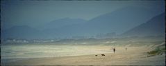 Praia Joaquina / Santa Catarina