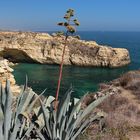 Praia Sao Rafael an der Algarve