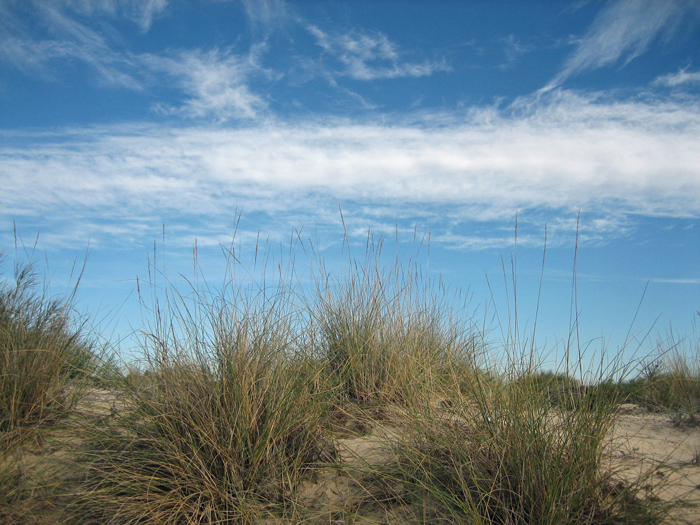 praia verde II