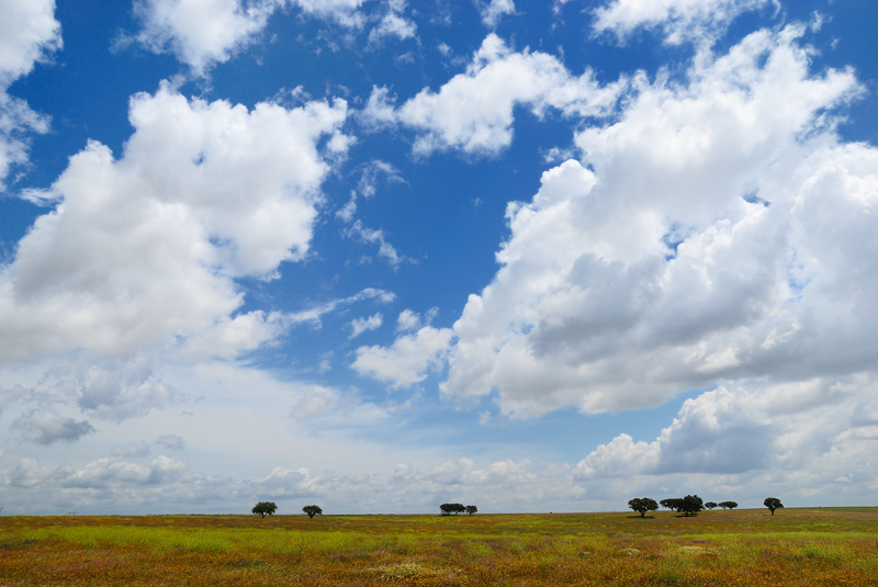 Prairie