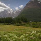 Prairie en Haute Maurienne.