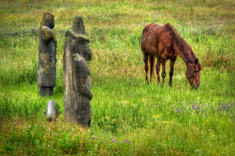 Prairie en Ukraine