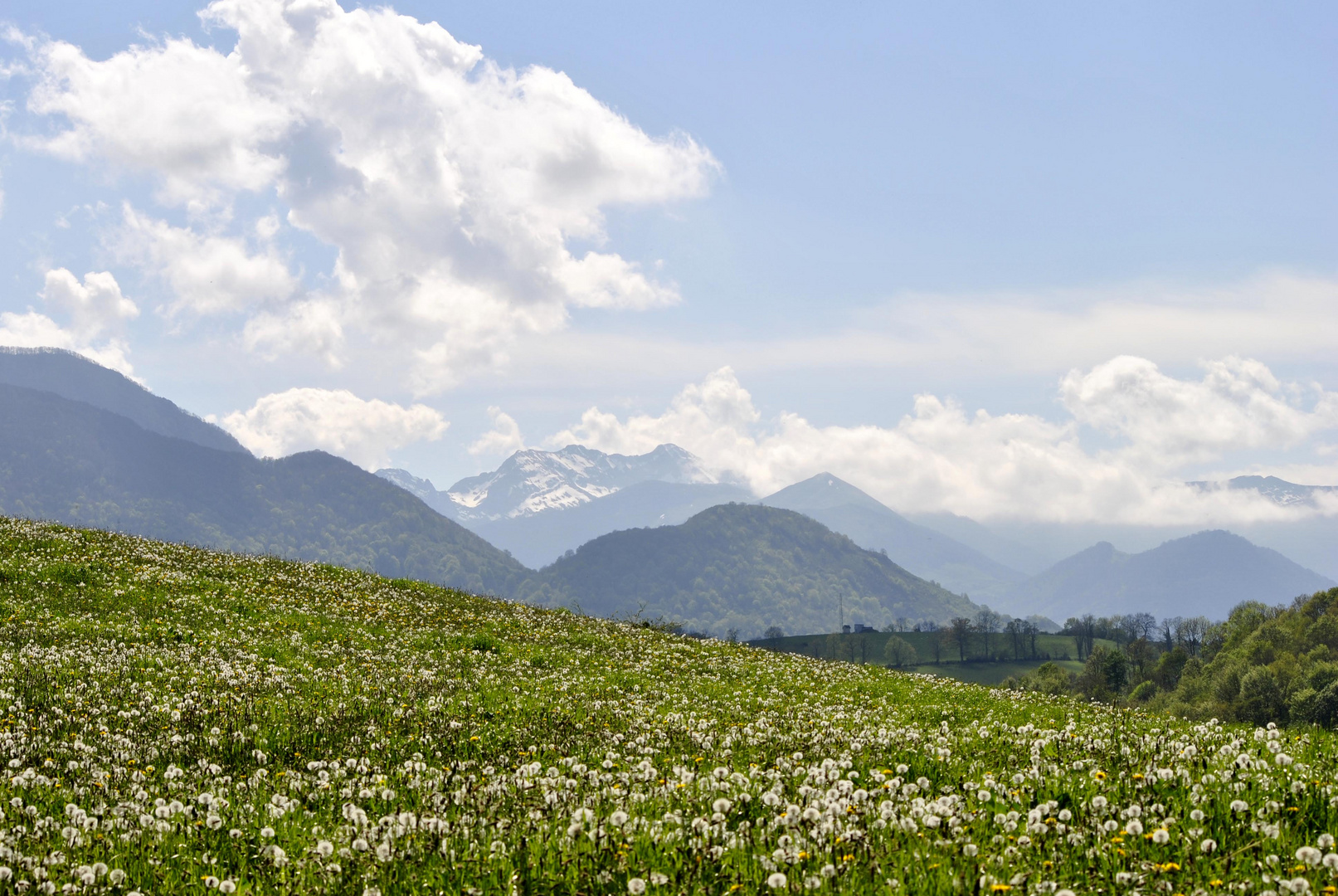 Prairie s'éveille