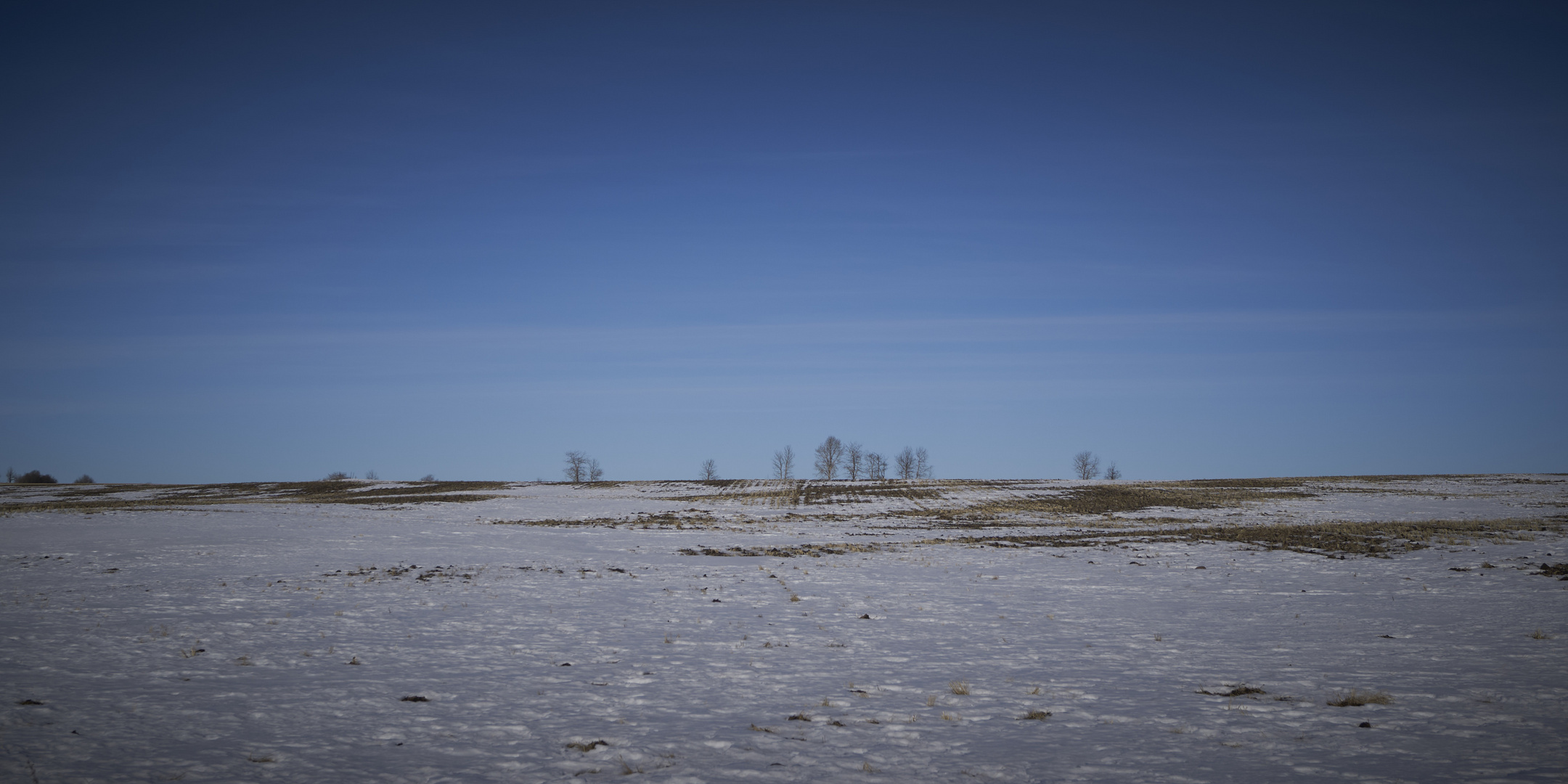 Prairie zwischen Winter und Frühling