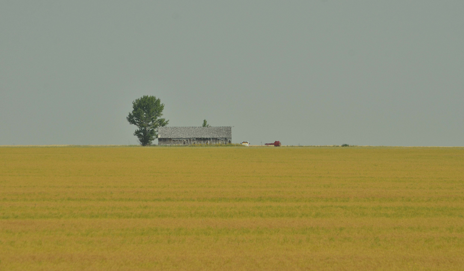 prairies