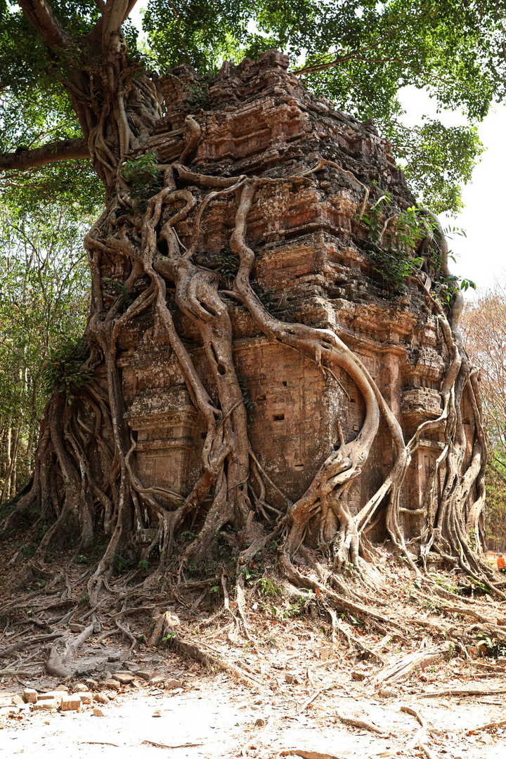 Prasat Sambor Prei Kuk