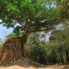 Prasat Sambor Prei Kuk