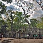 Prasat Ta Prohm in Angkor Park