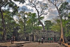 Prasat Ta Prohm in Angkor Park