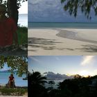 Praslin 2008