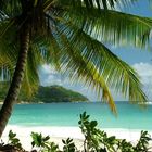 PRASLIN - ANSE LAZIO