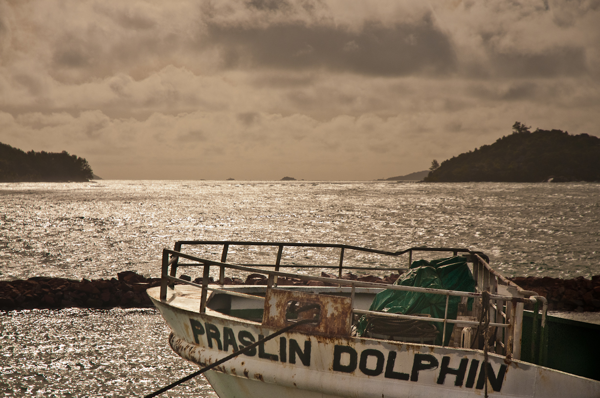 Praslin Dolphin