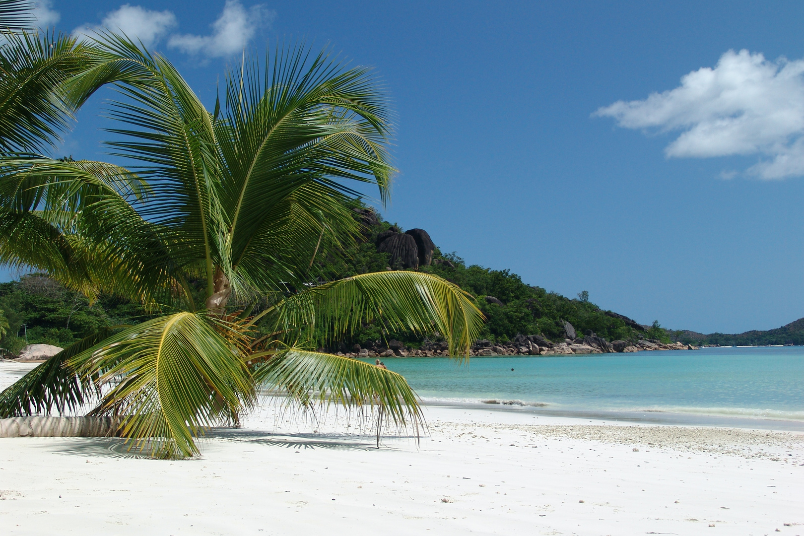 Praslin Island, Anse Volbert