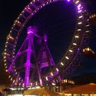 Prater Wiener Riesenrad (7)