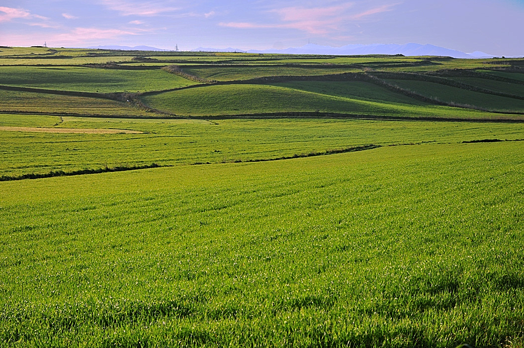 Prati e colline