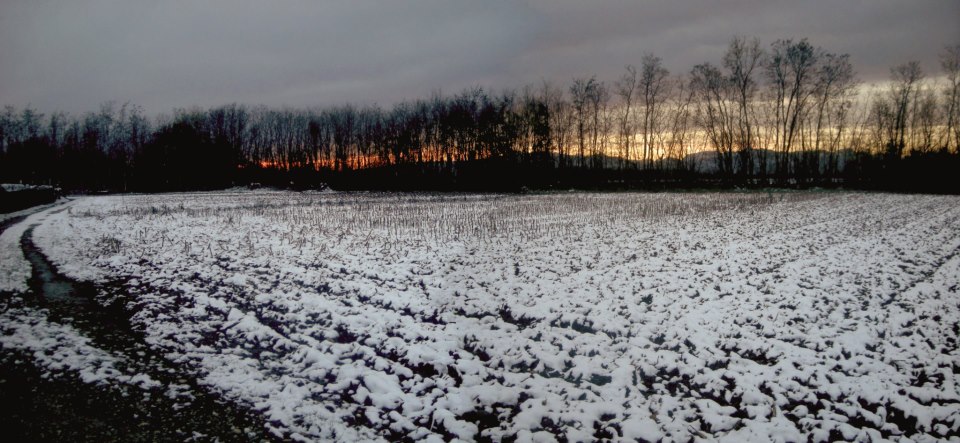 Prato innevato