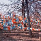 Prayer Flags 2